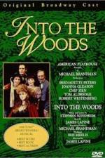 Watch Into the Woods M4ufreemovies
