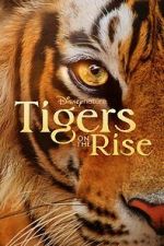 Watch Tigers on the Rise M4ufreemovies
