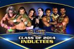 Watch WWE Hall of Fame M4ufreemovies