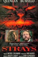 Watch Strays M4ufreemovies