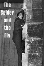 Watch The Spider and the Fly M4ufreemovies