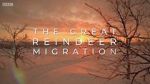 Watch All Aboard! The Great Reindeer Migration M4ufreemovies