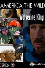 Watch National Geographic Wild America the Wild Wolverine King M4ufreemovies