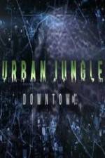 Watch National Geographic Wild Urban Jungle Downtown M4ufreemovies
