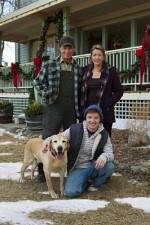 Watch Hallmark Hall of Fame A Dog Named Christmas M4ufreemovies