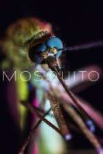 Watch Mosquito M4ufreemovies