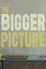 Watch The Bigger Picture M4ufreemovies