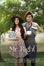 Watch Mr. Right M4ufreemovies