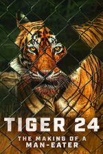 Watch Tiger 24 M4ufreemovies