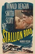 Watch Stallion Road M4ufreemovies