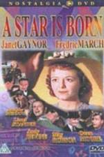 Watch A Star Is Born M4ufreemovies