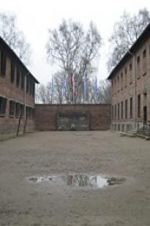Watch Made in Auschwitz: The Untold Story of Block 10 M4ufreemovies