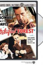 Watch The Petrified Forest M4ufreemovies