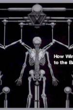 Watch How Wings Are Attached to the Backs of Angels M4ufreemovies