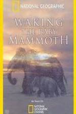 Watch Waking the Baby Mammoth M4ufreemovies