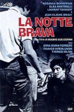 Watch The Big Night M4ufreemovies