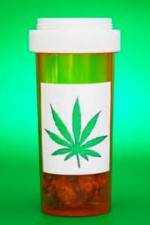 Watch Medicinal Cannabis and its Impact on Human Health M4ufreemovies