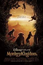 Watch Monkey Kingdom M4ufreemovies