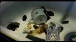 Watch Coup de lune (TV Short 2000) M4ufreemovies