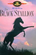 Watch The Black Stallion M4ufreemovies