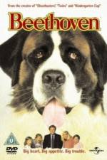 Watch Beethoven M4ufreemovies