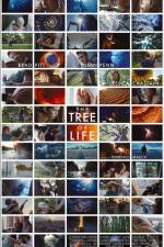 Watch The Tree of Life M4ufreemovies
