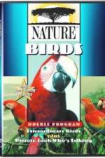 Watch PBS Nature - Extraordinary Birds M4ufreemovies