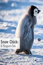 Watch Snow Chick: A Penguin's Tale M4ufreemovies