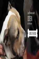 Watch Last Minutes with ODEN M4ufreemovies