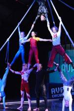 Watch Circus School M4ufreemovies