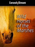 Watch Wild Horses of the Marshes M4ufreemovies