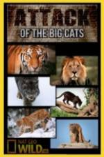 Watch National Geographic Attack Of The Big Cats M4ufreemovies