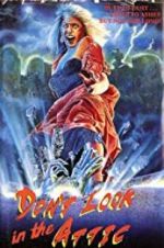 Watch Don\'t Look in the Attic M4ufreemovies