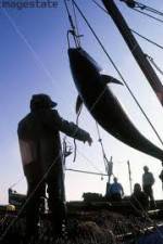 Watch National Geographic: Cheating Death Tuna Cowboys M4ufreemovies