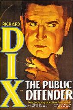 Watch The Public Defender M4ufreemovies