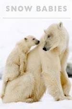 Watch Snow Babies M4ufreemovies