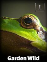 Watch Garden Wild! M4ufreemovies