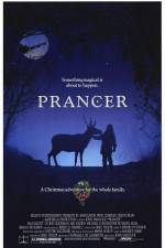 Watch Prancer M4ufreemovies