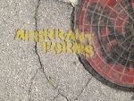 Watch Aberrant Forms: A Jurassic Short M4ufreemovies
