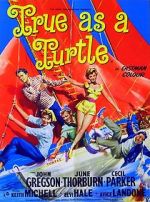 Watch True as a Turtle M4ufreemovies