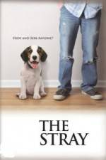Watch The Stray M4ufreemovies