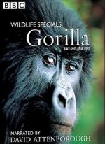 Watch Gorilla Revisited with David Attenborough M4ufreemovies