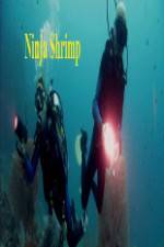 Watch National Geographic Ninja Shrimp M4ufreemovies