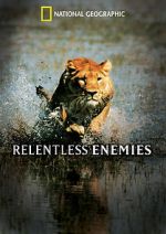 Watch Relentless Enemies M4ufreemovies
