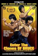 Watch Enter the Clones of Bruce M4ufreemovies
