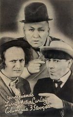 Watch 3 Dumb Clucks (Short 1937) M4ufreemovies