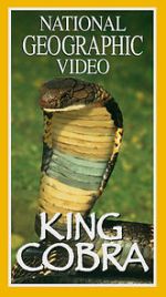 Watch King Cobra M4ufreemovies