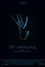 Watch The Hunchback M4ufreemovies