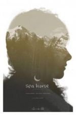 Watch Sea Horse M4ufreemovies