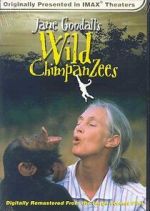 Watch Jane Goodall\'s Wild Chimpanzees M4ufreemovies